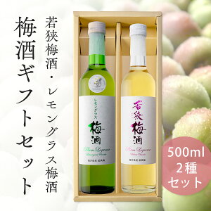 Mtg v[g ~ ݔ 2{ v[g   ̓ yY Y yዷ~EOX~Zbg 500ml×2 z  gf~ ׂɂ~gp 󏭎 n[u  