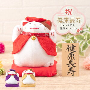 y!! 5OFF11/6 ߂܂ŁzhV̓ L җ Ê Ď  P    j ܂˂lR L җj v[g hV LOi 񂿂 җj L җ() 