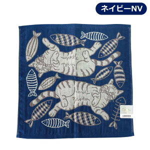 nJ` CAT ALL 3dK[[nJ` Lbg ^InJ` 100 L  킢 fB[X nh^I ~jMtg { |Cg  ʕ ӂӂ t l