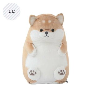 ő10OFFN[| USBʂ݃EH[}[ ܂ŃAj}Y JC ʂ݃EH[}[GREH[}[  킢 Aj} ˂  `` p_  ʂ