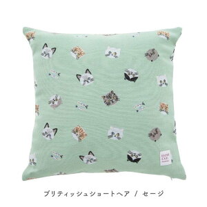 Si8OFFN[| NbVJo[ 45×45cm  k Jo[̂ 킢 Vv lR  CeA L ͗lւ NbV z ` | 蕨 JtF v[