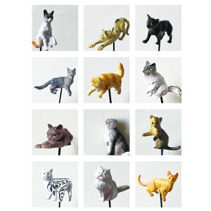 K[fsbN K[fjOG ˂ I[ig L K[fG  Lbg Jg[ G K[fI[ig K[f K[fjO sbN K[fANZT[ 킢 