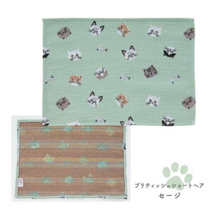 `}bg `}bg z z ˂ vCX}bg lR  k z e[u CeA G  H ͗lւ  H I Lb` 킢 _CjO e[u