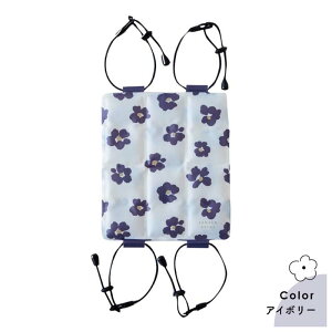 bN w pbh ⊴pbh PCM R bNp w ⊴ Ђpbh ۗV[g bNpbh 28 hZ N[V[g ԕ s  N[ GR ʊw ʋ w q