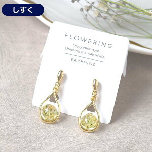 Si8OFFN[| CO Vv  CO W mz[sAX fB[X h Ղ l 킢 sAX @WG[ S[h  ʋ 