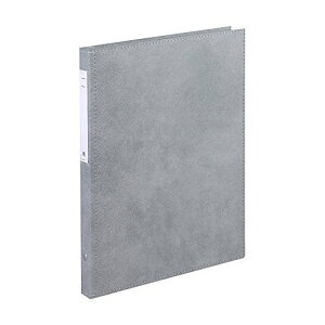 リヒトラブ カルテファイル カルテブック 標準タイプ A4 4穴 シルバー HB407-6 送料無料