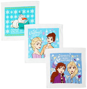  ڂ^I 3g P[Xt AiƐ̏2 Xm[Ct AiƐ̏2 30×30cmwObY w 