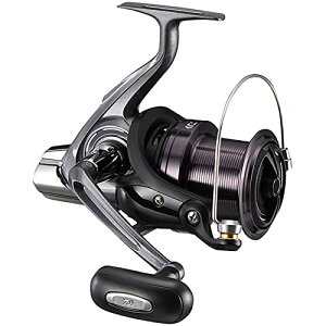 ダイワ(DAIWA) スピニングリール(投げ・遠投) 17 クロスキャスト 5500(2017モデル) 送料無料