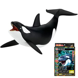 最強王図鑑 最強王バトルソフビ シャチ 送料無料