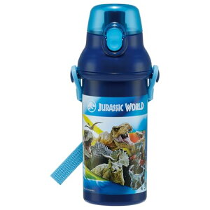 XP[^[(Skater) qp vX`bN  480ml vbVJ R qɗD y RۉH { W 