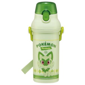 XP[^[(Skater) qp vX`bN  480ml vbVJ R qɗD y RۉH { |P 