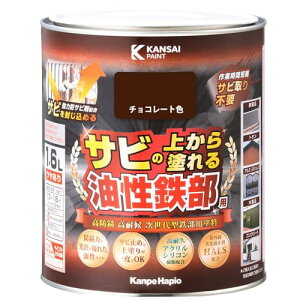 KANSAI SpS `R[gF 1D6L 