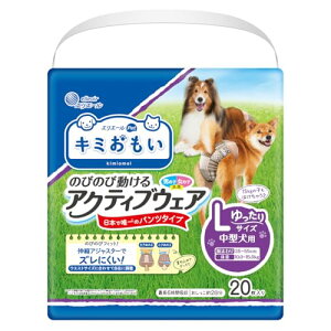 GG[ Pet L~ ̂т̂ѓANeBuEFA L  20 p ނ 