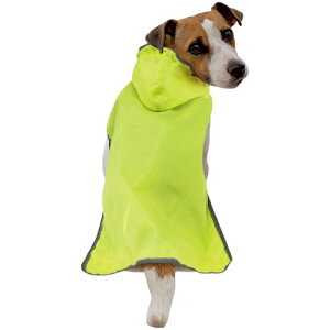 hM[} ChicchaI ppbƒ |Pbg悯JR[g M C pCR[g  MTCY 