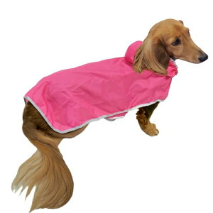 hM[} ChicchaI ppbƒ |Pbg悯JR[g MD sN pCR[g  MDTCY 