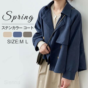 g`R[g V[g fB[X t XvOR[g   tAE^[ V[gR[g CgAE^[ H y y Vv n 傫  HD JWA ꂢ