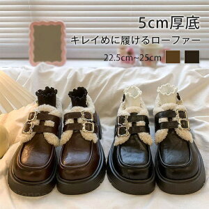 [t@[ fB[X w  N ʋ ʊw {A 5cm SX pNꃍ[t@[ ł[t@[ Z q C  Xm[ h ~C hC t@CNt@[ 