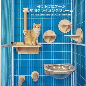 L P[Wpebv L P[Wp܂Ƃ|[ P[Wt ˂ ܌ VR P[Wp ȃXy[X |[ ߂Ƃ  LpQ[W ybgQ[W t ȒP c^ lC lR Lb