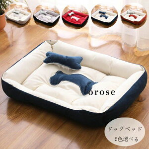 hbOxbh ybgxbh nEX  \t@[xbh pxbh p xbg p xbg  pxbh 􂦂 ϋv ̈U hbOxbh ӂӂ   