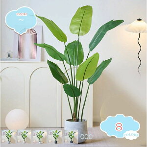 1650~ 160cm ^ tFCNO[A tFCNA ChA rO[   Xg`AEMl  CeA ׍HJ ׂ} @ׂȗt ItBX  Q r