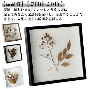 tHgt[ Ǌ| ؐ ̊z tHgX^h ʐ^ ʐ^  8C``̌` F {bNXt[ DIY j j ސEj tBMAP[X A4TCY z