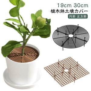 AؔObh 3TCY h~ h~ veN^[Lbg ABSvX`bN A ϗtA yObhJo[ t[veN^[ AؔJo[ ėp\ L@h