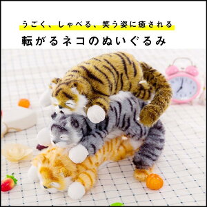 L ʂ ΂]L  3 1 lR Mtg ɔď΂L q Ƒ 킢 ˂ er q