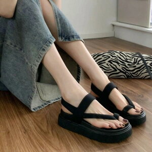 y X|[cT_ RtH[g T_ T_ T  r[`T_ fB[X fB[X r[`T_