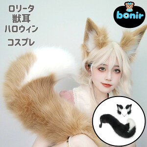 �ώ� �ϔ� ������ �j�����p �w�A�A�N�Z�T���[ �N���X�� ���� �w�A�s�� �_��I ������ ���B���e�[�W�� �N���X�A�[�g �J�`���[�V�� �ӂ�ӂ� �s���N �u���b�N �O���[ ���b�h �L�������F �t�H