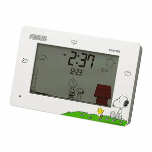 i Ki RHYTHM Yv 8RDA79MS03 Xk[s[ Xk[s[R79 fW^\ uv