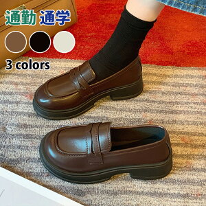 [t@[ y wC ɂȂ fB[X Z ʊw ʋ C  uE  [^[ ̎q w Ǝ w \ Zj[ 22.5cm-25cm w RC[t@[ ɂ 