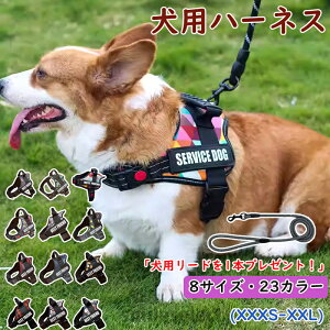  n[lX ėp  ybgp[ht ߉\ SȂ  y ^ Ȃ ȒP bV h~ pn[lX [h ^ ^ X|[cn[lX U