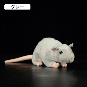 ˂ ʂ     o^C ӂӂ  _炩 Sn v[g CeA _ XgX ʐ^  YQ   