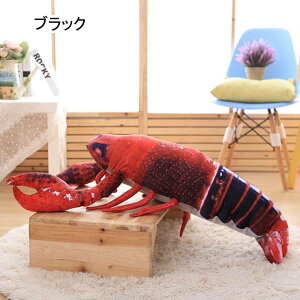 uX^[ Gr ʂ  { u G 킢 傫 D NbV D ӂӂ n A  NX}X 120cm v[g bh a