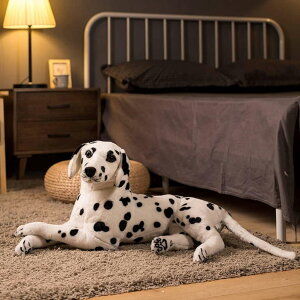   CI  ˂ނ˂ ʂ _炩 􂦂 YQ   C  ʂ NbV o^C \t@[ ӂӂ CeA N