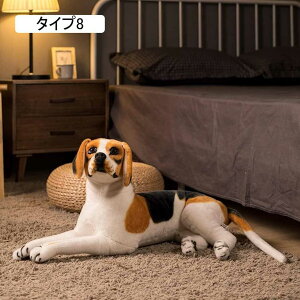   CI  ˂ނ˂ ʂ _炩 􂦂 YQ   C  ʂ NbV o^C \t@[ ӂӂ CeA N