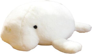 }ieB[ ʂ C  Snǂ ӂӂ u G Q Mtg D zCg Q 50cm n C ˂ނ˂ 킢 a q̓ NX}X v