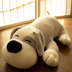   ʂ  ӂӂ 킢 l`  q a LO v[g C l炵 Q j oY o^C ˂ނ˂ Q C 50cm