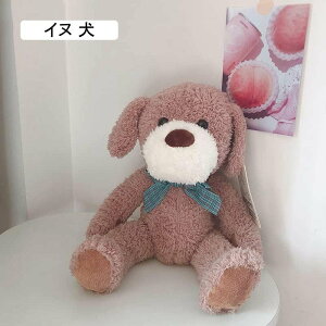 ʂ ˂ނ˂  p_  _炩 ᔽ q̓ _炩 Ղ v[g a q l`  Mtg Q    35cm q C