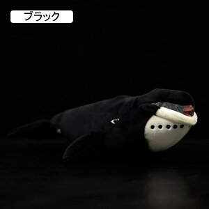 zbLNNW ʂ  Cm  D l` AV[Y mgC V~[V   q a v[g 蕨 e o^C 43x11x