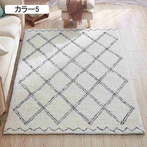 O}bg J[ybg bR 唻 Z^[O Չ H _C  傫 ԃO ۉ  ~ K x_ rO 120*160 o _CjO ȕ