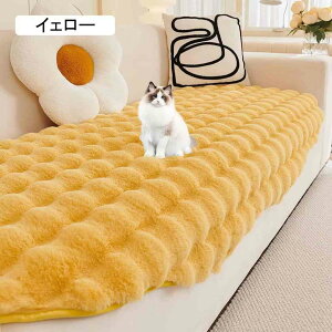 rbg \t@[Jo[ ~ 邾 ӂӂ  H~ \t@[pbg 1l| 2l| 3l| I| IȂ 킢  g h΍  􂦂 ~ }