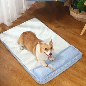 tpp}bg \tgybgACX}bg 􂦂ybgxbh Lxbh pbh ybgpbh 4cmĂ͗Kۂ ( L)