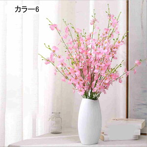  CeA ԑ ԕrt  tFCNO[ lHϗtA Cxg  Mtg v[g  o[Xf[ j ̓ zCgf[ ̓ j Vw V 