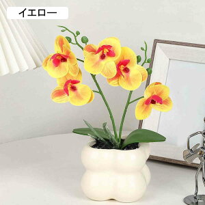 kX^C Ӓ ~  [Ybh lHϗtA ԕrt  Vv Ƃ̑ Mtgp  tFCNO[ CeA  EGfBO   28cm X ؂Ȑl