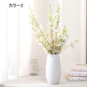  ԕrt ϗtA {ɂ  v[g j  rO x_ J[5  iX u 45CM ͂Ȃ 邭Ȃ CeA Xge[u