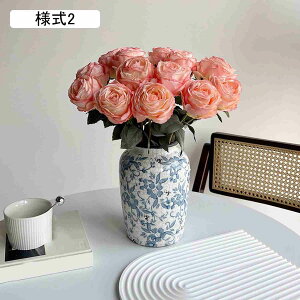  o FreeSize lHϗtA  A CeAO[ u[P  tFCNt[ A a Vz p[eB[ Be v[g CeA iX Xܗp ޏ