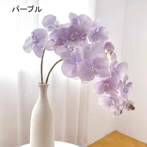  ԑ A[gt[ FreeSize ԕrt CeA t[ Y  tFCNO[ ̓ Ǝ  LO hCt[ u e[uZ^[s[X z[ Lb`