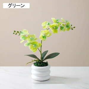   38cm  u u CeA zCg u[P v[g G tFCNt[ ԕrt ͂Ȃ  蕨 Ԋ X  ԑ Ϗܗp DIY j 