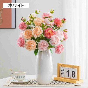 kX^C u[P  lHϗtA zCg ԕrt  Vv Ƃ̑ Mtgp  ͂Ȃ EFfBO  Be FreeSize v[g Mtg p z[ 